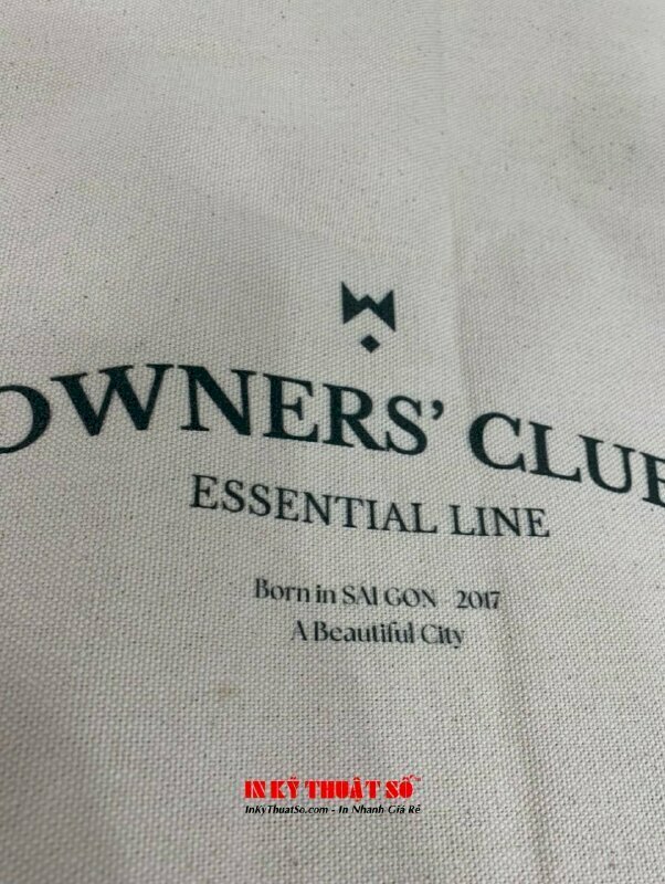 In vải theo yêu cầu, in canvas giá rẻ, nhận in mọi số lượng dù chỉ 1 ấn phẩm và có hàng trong ngày