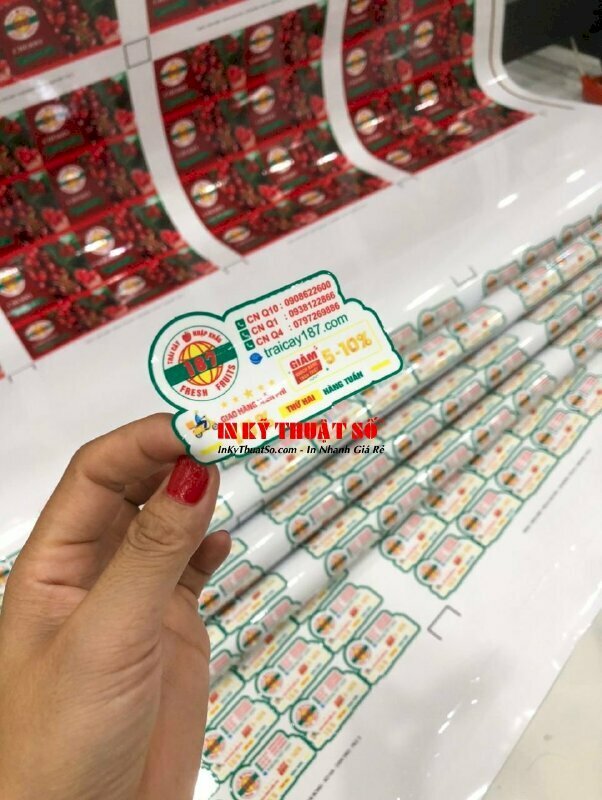 In tem dán lên trái cây nhập khẩu thông tin cửa hàng, chi nhánh, số điện thoại, website