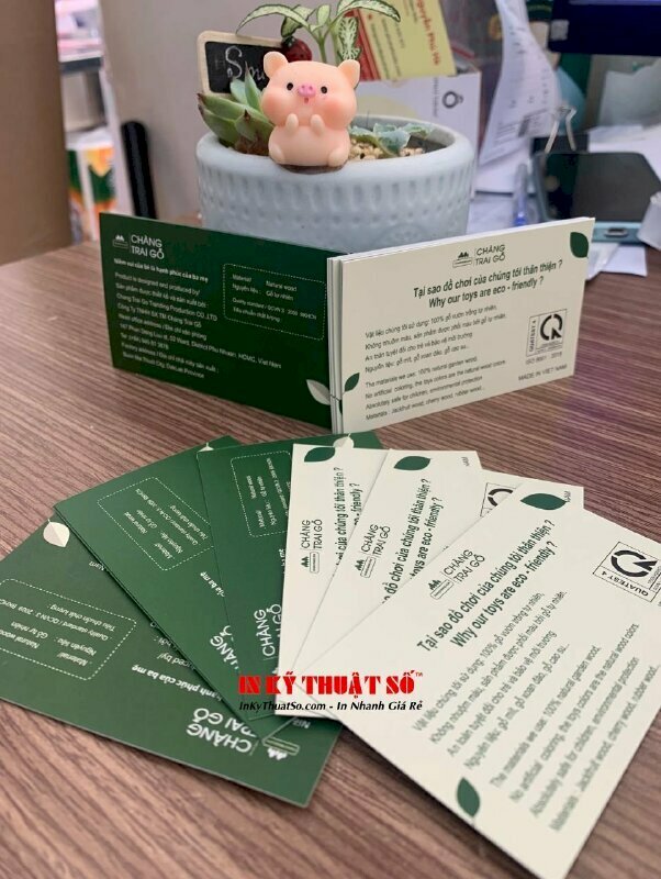 In name card giá rẻ TPHCM - Thiết kế và in name card uy tín