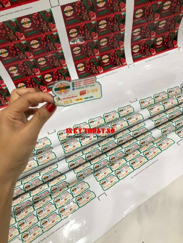 In tem logo dán sản phẩm trái cây nhập khẩu theo yêu cầu, in số lượng lớn và gia công nhanh chóng