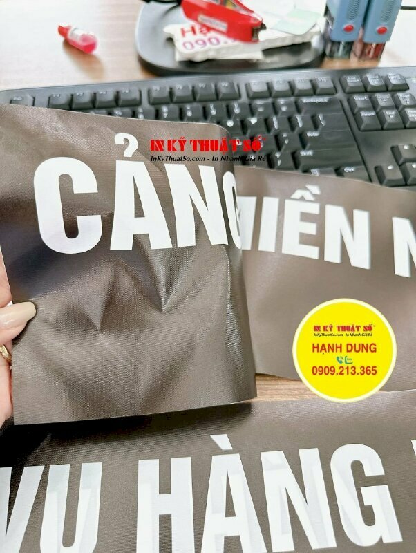 In nhanh băng viếng tang TBT Nguyễn Phú Trọng