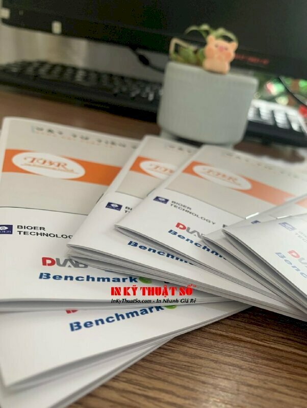 Thiết kế & In catalogue giới thiệu sản phẩm cho một công ty tại TPHCM