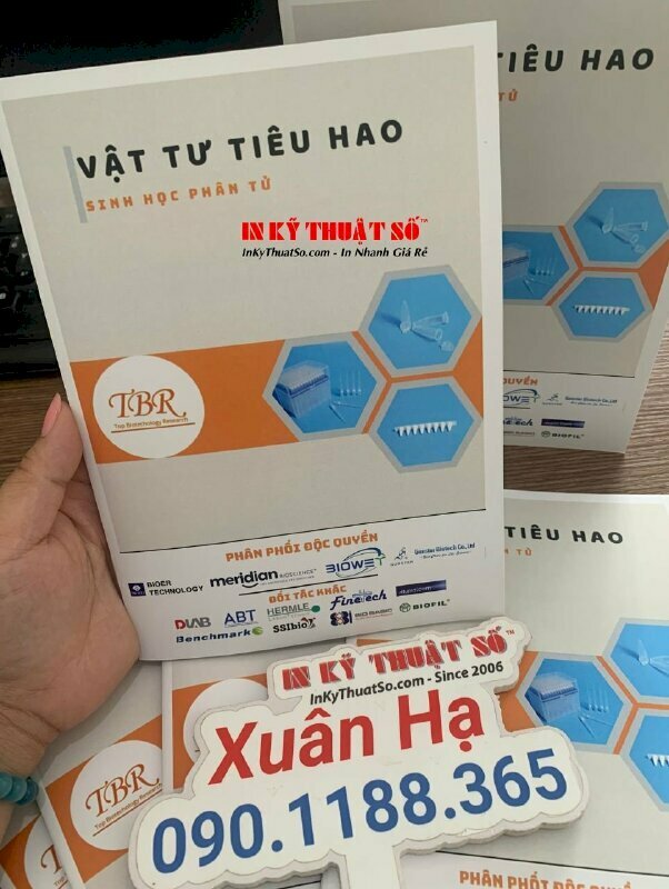In Offset quyển catalogue trên giấy Coucher, in 2 mặt thành phẩm đóng kim