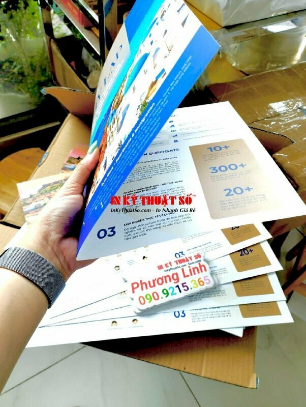 In tờ rơi A3 cấn 1 đường, tờ rơi A4 giới thiệu chương trình đầu tư bất động sản nhận thường trú nhân vĩnh viễn