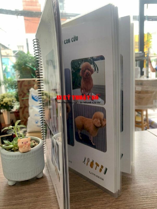 Làm menu plastic đóng cuốn lò xo A4 dịch vụ cho Pet Grooming Salon - INKTS1869