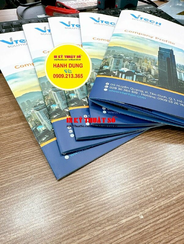 In Catalogue 28 trang khổ A4 giới thiệu thông tin công ty công nghệ thông tin phân phối thiết bị mạng - INKTS2080