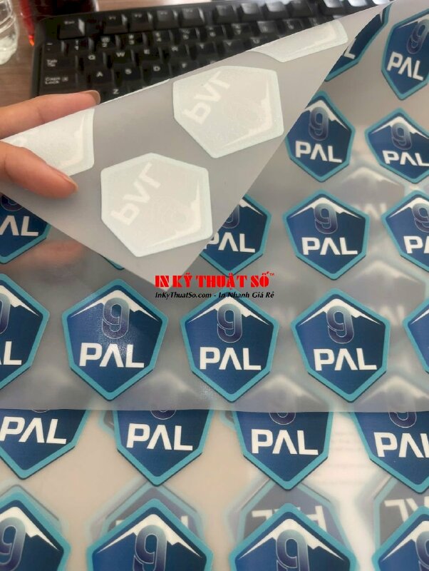 In Decal trên áo dạng Pet nhiệt khách về tự ép lên áo, logo Decal Pet nhiệt - INKTS2155