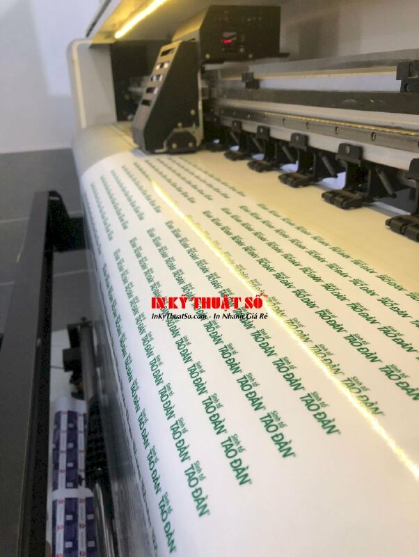 Tem nhãn Decal trong dán chai sinh tố - In Kỹ Thuật Số Since 2006