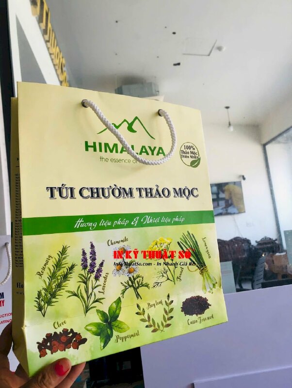 In túi giấy giá rẻ HCM - In Kỹ Thuật Số Since 2006 - Ảnh: 4