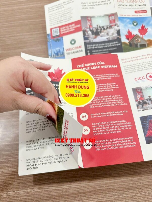 In brochure nhanh cán mờ, cấn 2 đường, brochure tư vấn định cư Canada - INKTS2877