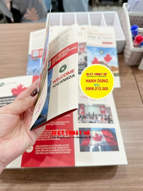 In brochure nhanh cán mờ, cấn 2 đường, brochure tư vấn định cư Canada - INKTS2877