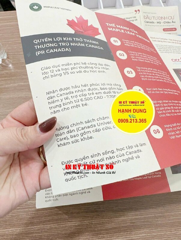 In brochure nhanh cán mờ, cấn 2 đường, brochure tư vấn định cư Canada - INKTS2877