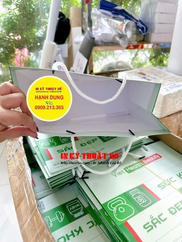 In túi giấy 20cm x 16cm x 6cm (hông) đựng sản phẩm công ty phân phối dược mỹ phẩm, thực phẩm bổ sung sức khỏe - INKTS3086