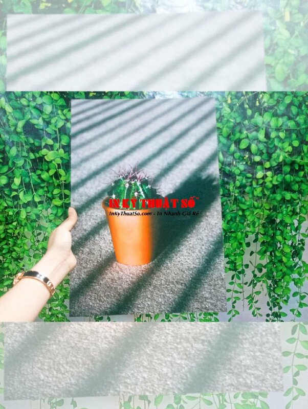 In PP cán mờ - INKTS137