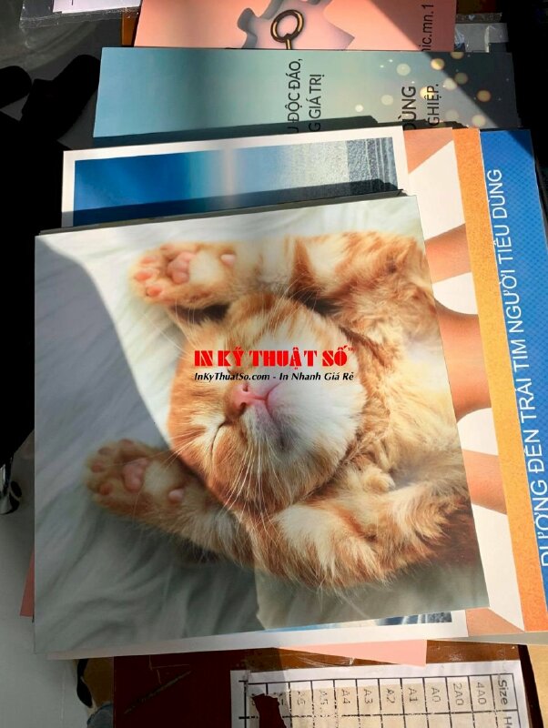 In PP lấy liền trong ngày - INKTS141