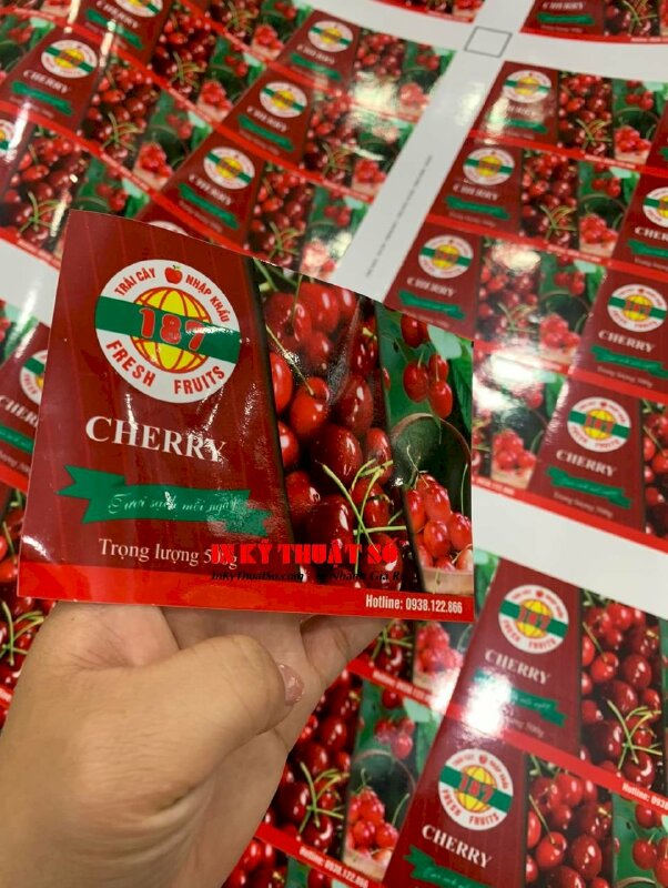 In Decal sữa tem hoa quả nhập khẩu, tem Cherry, tem Quýt Úc, tem logo cửa hàng trái cây - INKTS1734