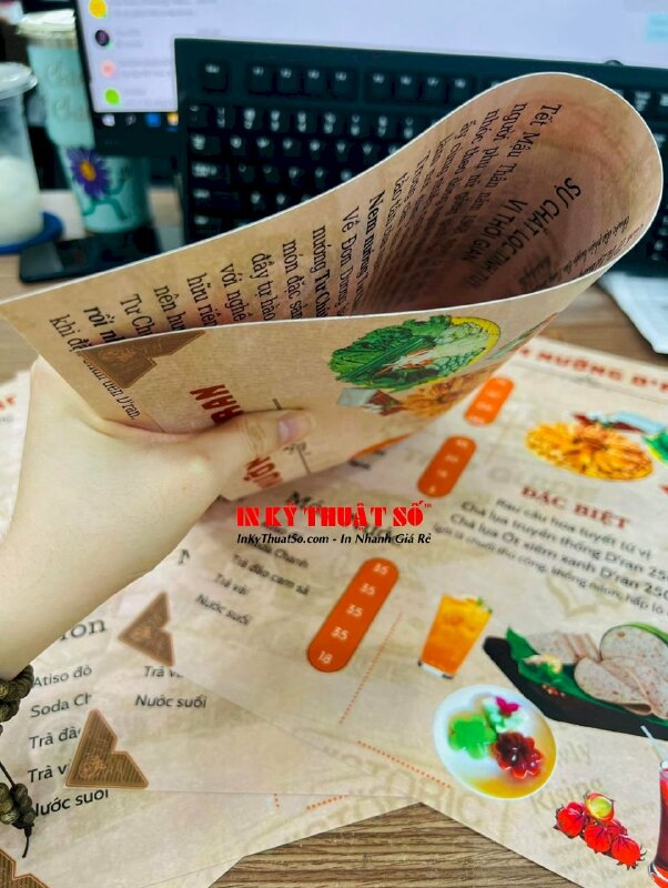 In menu quán nem nướng, menu tấm nhựa mỏng cầm tay khổ A4 tiện dụng - INKTS1169