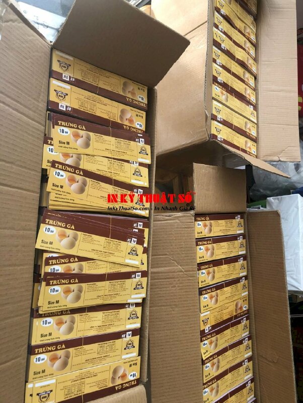 In tem nhãn hộp trứng gà - INKTS847