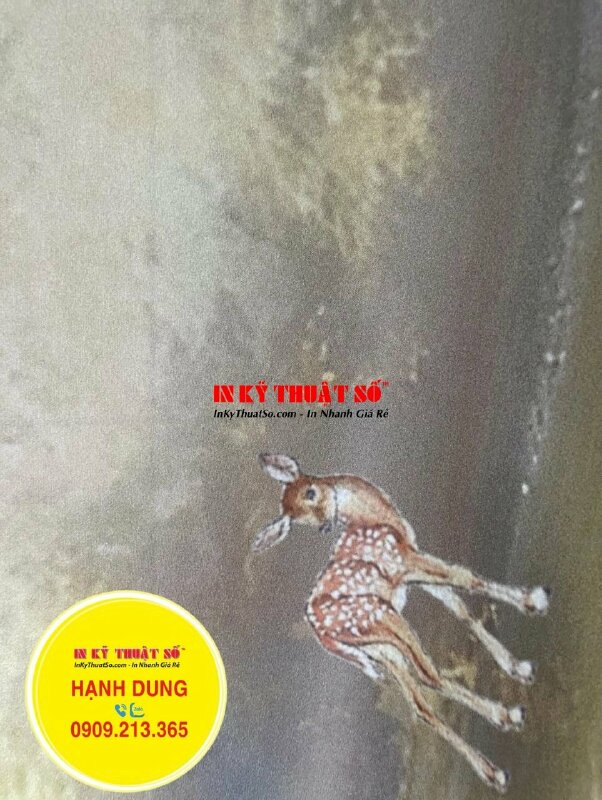 In phông nền chụp ảnh Studio khổ 3m trên nền vải Canvas dầu mờ - INKTS1120