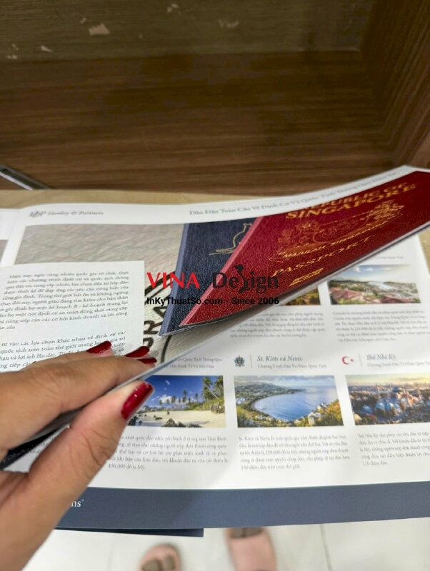In brochure giới thiệu Agency tư vấn đầu tư định cư và nhập tịch - INKTS3474