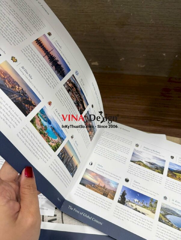 In brochure giới thiệu Agency tư vấn đầu tư định cư và nhập tịch - INKTS3474