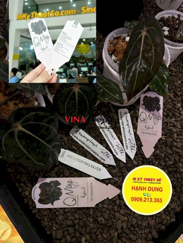 In thẻ cắm name tag nhựa PVC ghi chú, đánh dấu thông tin cây cảnh - INKTS3642