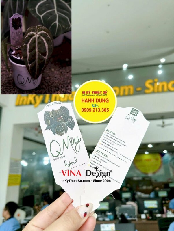 In thẻ cắm name tag nhựa PVC ghi chú, đánh dấu thông tin cây cảnh - INKTS3642