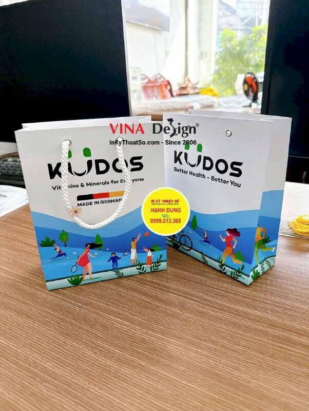 In túi giấy đựng quà tặng, quà Tết 1000 túi - INKTS186