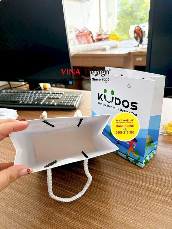 In túi giấy đựng quà tặng, quà Tết 1000 túi - INKTS186