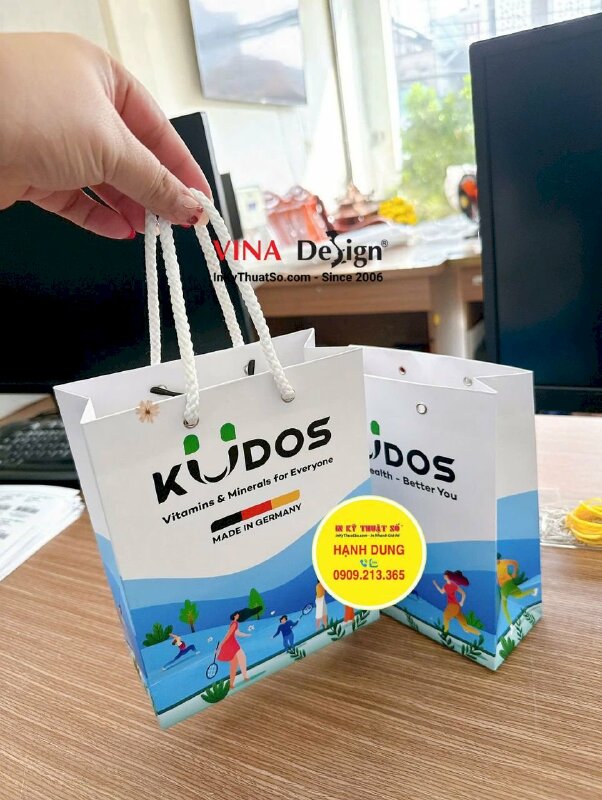 In túi giấy đựng quà tặng, quà Tết 1000 túi - INKTS186