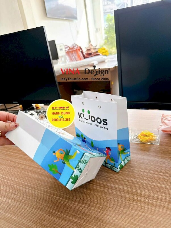 In túi giấy đựng quà tặng, quà Tết 1000 túi - INKTS186