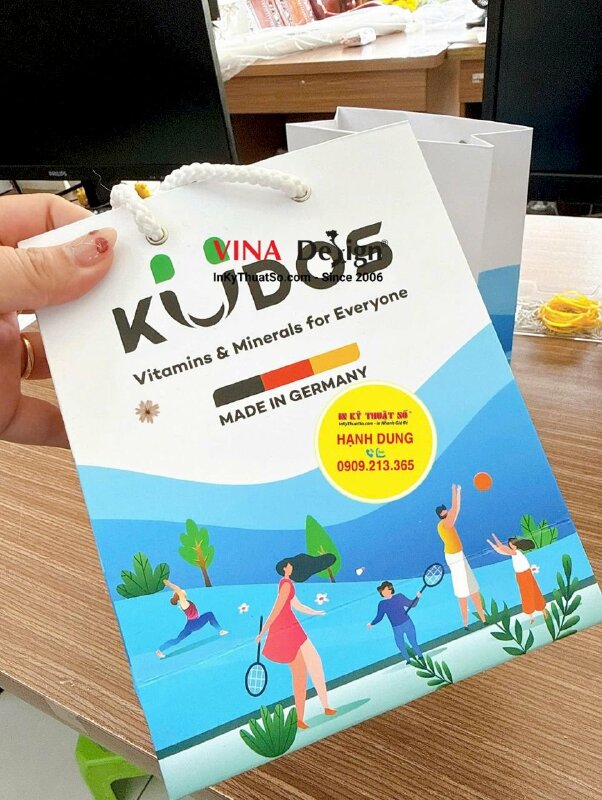 In túi giấy đựng quà tặng, quà Tết 1000 túi - INKTS186