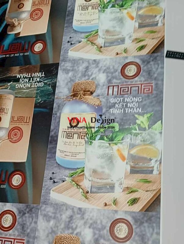 In PP cán format giá rẻ TPHCM - INKTS132