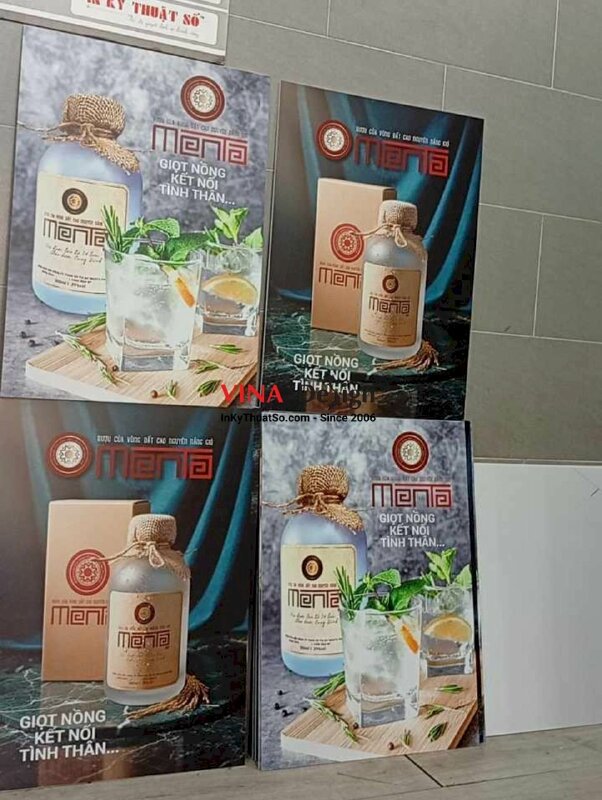 In PP cán format giá rẻ TPHCM - INKTS132