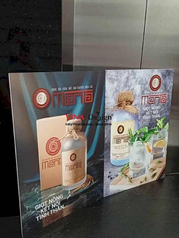 In PP cán format giá rẻ TPHCM - INKTS132