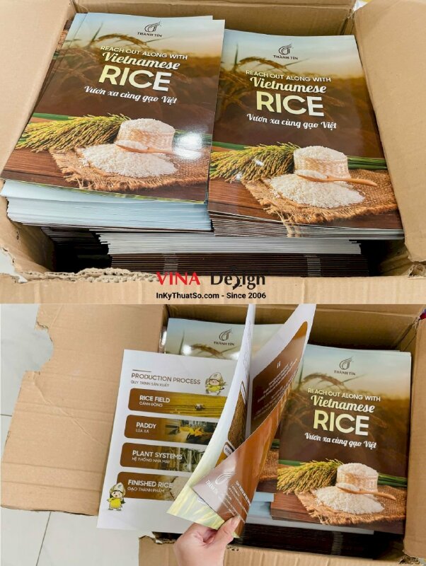 In quyển catalogue profile công ty gạo, in Offset khổ A4 - INKTS2377