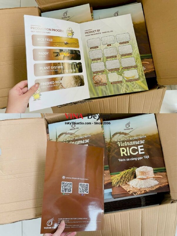 In quyển catalogue profile công ty gạo, in Offset khổ A4 - INKTS2377