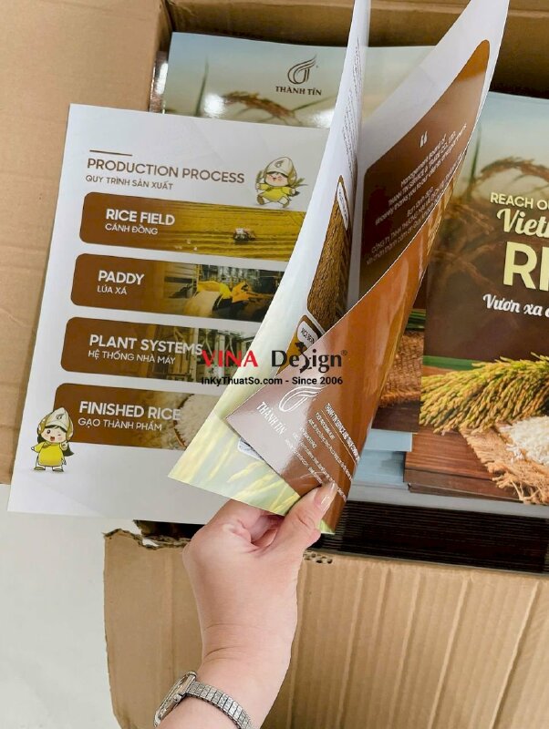 In quyển catalogue profile công ty gạo, in Offset khổ A4 - INKTS2377
