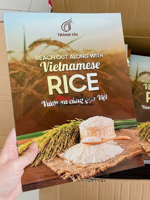In quyển catalogue profile công ty gạo, in Offset khổ A4 - INKTS2377