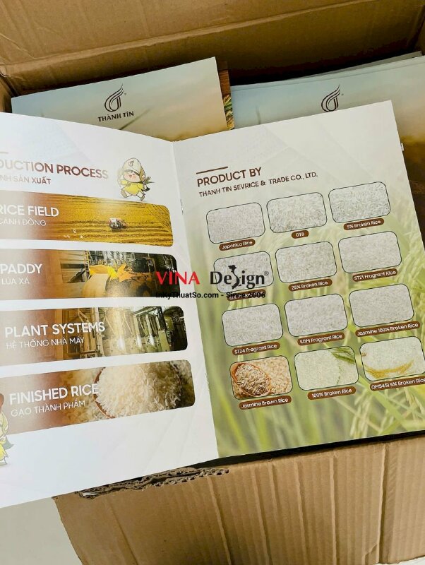 In quyển catalogue profile công ty gạo, in Offset khổ A4 - INKTS2377