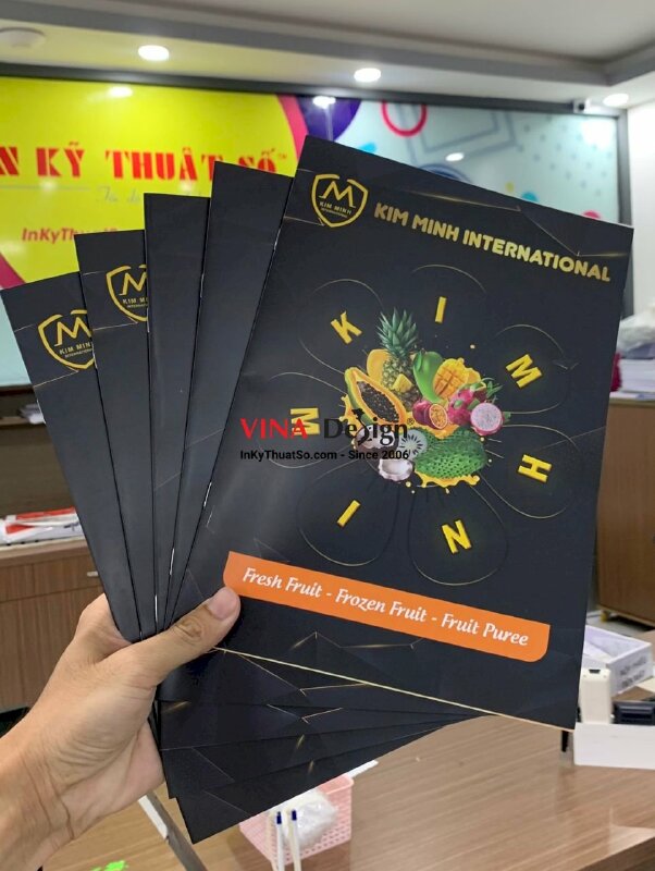 In catalogue giới thiệu sản phẩm, dịch vụ - INKTS288