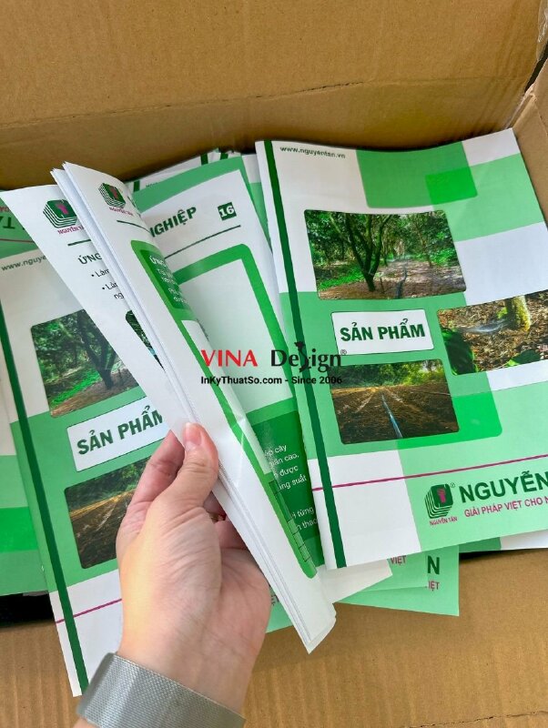 In catalogue sản phẩm khổ A4 đứng, giấy C150gsm, gáy đóng kim - INKTS370