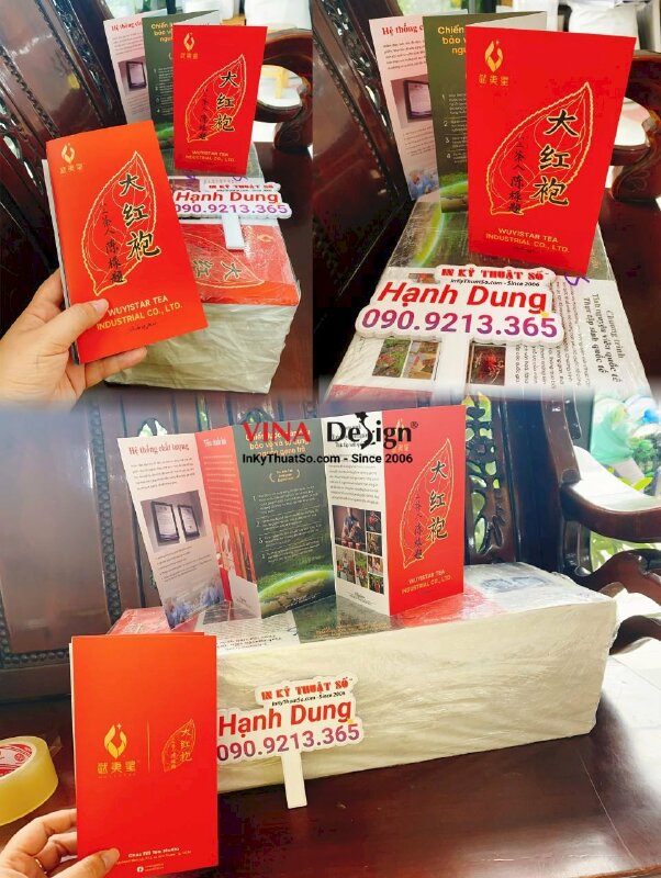 In brochure giới thiệu công ty trà - INKTS494