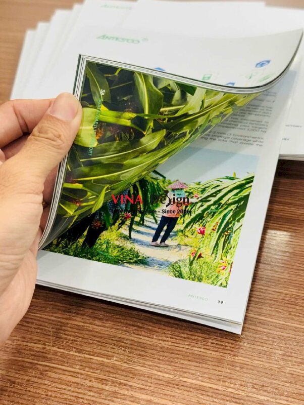 Quyển Sustainability Report Báo cáo phát triển bền vững ESG, in Catalogue 68 trang, khổ A4, dán keo gáy - INKTS21